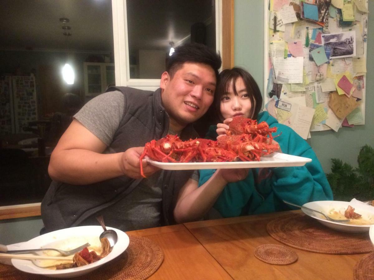 브룩 하우스 베드 앤 브렉퍼스트 앤 코티지 카이코라 외부 사진